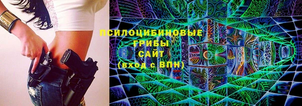 PSILOCYBIN Бородино