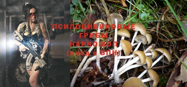 стафф Навашино
