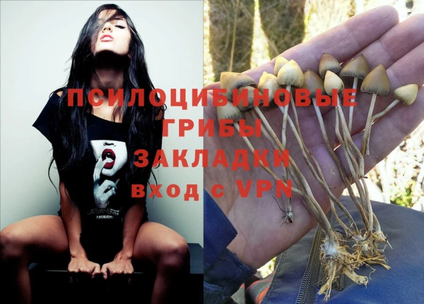 амф Наволоки