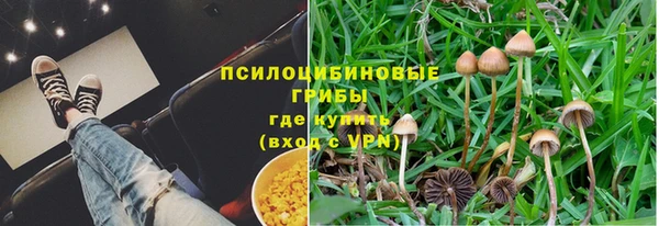 стафф Навашино