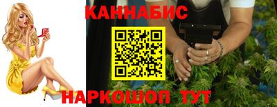 мяу мяу мука Гатчина