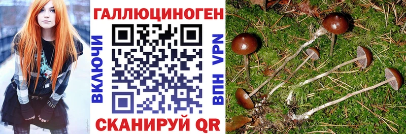 Галлюциногенные грибы MAGIC MUSHROOMS  цена   Муравленко 