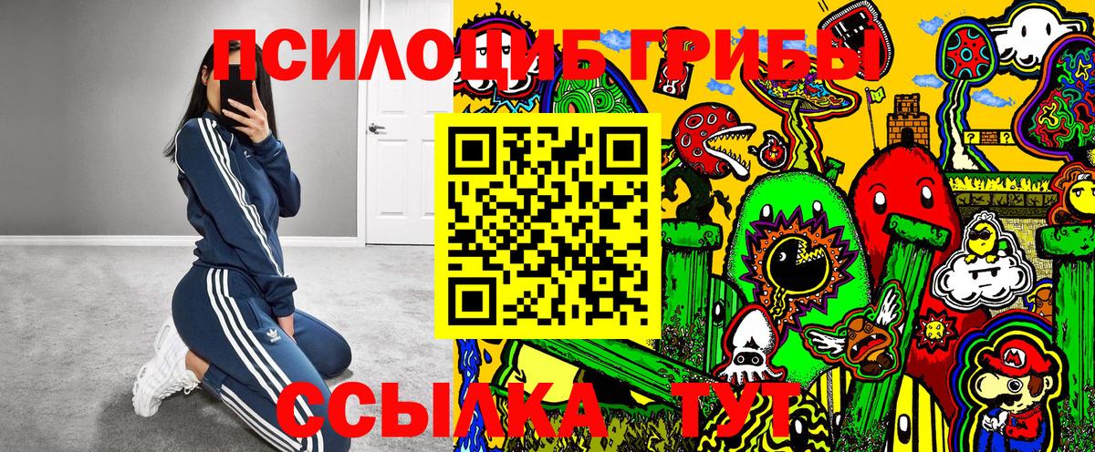 Муравленко  Псилоцибиновые грибы ЛСД  Вход с VPN 