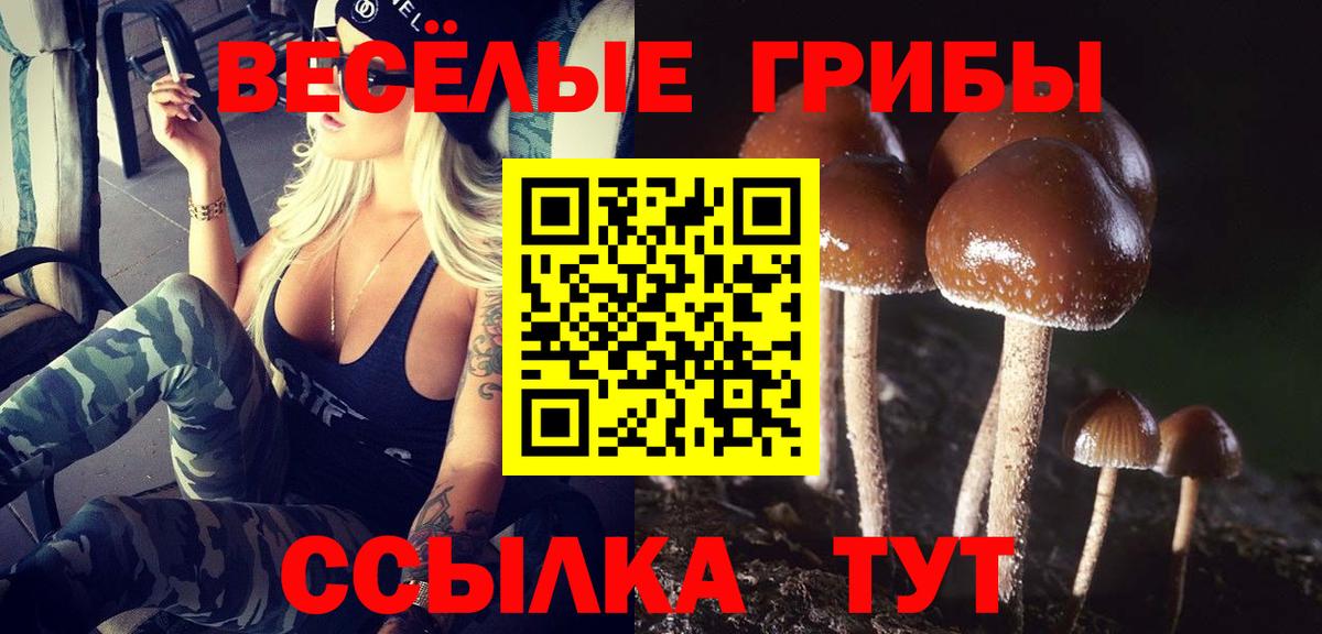 Галлюциногенные грибы Magic Shrooms Муравленко